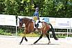 Samstag A Dresur