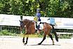 Samstag A Dresur