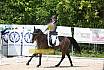 Samstag A Dresur