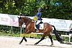 Samstag A Dresur
