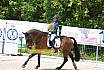 Samstag A Dresur