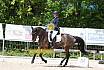 Samstag A Dresur