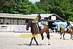 Samstag A Dresur