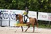 Samstag A Dresur