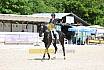 Samstag A Dresur