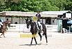 Samstag A Dresur