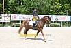 Samstag A Dresur