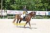 Samstag A Dresur