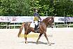 Samstag A Dresur