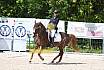 Samstag A Dresur