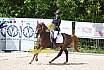 Samstag A Dresur