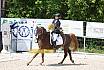 Samstag A Dresur
