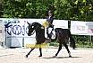 Samstag A Dresur