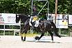 Samstag A Dresur