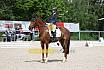 Samstag A Dresur