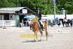 Samstag A Dresur