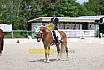 Samstag A Dresur
