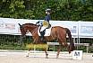 Samstag A Dresur