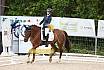 Samstag A Dresur