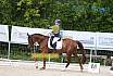 Samstag A Dresur