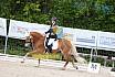 Samstag A Dresur
