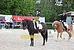Samstag A Dresur