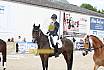 Samstag A Dresur