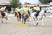 Sa und So Quadrille