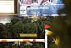 Sonntag Finale Youngster