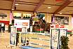 Freitag Youngster  7jaehrig