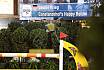 Sonntag Finale Youngster