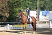 Samstag A Dressur
