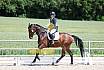 Sa Dressur A ein Stern