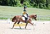 Sa Dressur A ein Stern