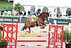 So Amateure Bronze Silber Gold