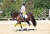 Samstag L Dressur