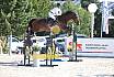 Sonntag zwei Phasen S Youngster