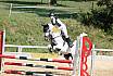 Samstag Springreiterwettbewerb