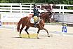 Sa Pony Masters 
