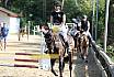 Samstag Springreiterwettbewerb