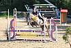 Samstag E Springen