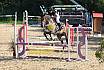 Samstag E Springen