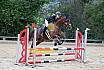 Sonntag Stilspring WB