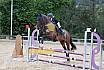 Sonntag Stilspring WB