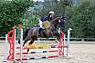 Sonntag Stilspring WB
