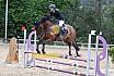 Sonntag Stilspring WB