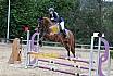 Sonntag Stilspring WB