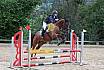 Sonntag Stilspring WB