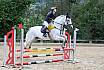 Sonntag Stilspring WB
