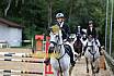 Sonntag Stilspring WB